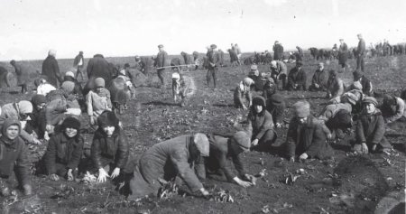 Qərb qəzetləri, Avropaya aparan dil, stalinizmin dəhşətləri – kommunizmə inanan casusun məyusluğu