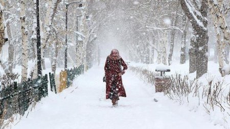 Bəyaz pendir, qırmızı çaxır, qar yağır... - Seçmə şeirlər