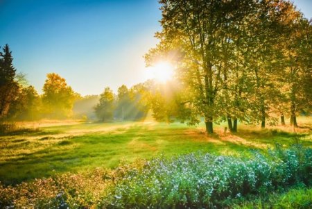 Sabaha olan hava proqnozu açıqlandı