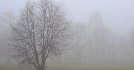 Sabah yenə duman olacaq - HAVA PROQNOZU