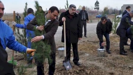 Yeni icra başçısı “lapatka” götürüb işə başladı - Foto