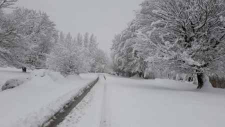 Hava şəraiti ilə bağlı MÜHÜM AÇIQLAMA: 24 dərəcə şaxta, 50 sm qar, güclü külək...