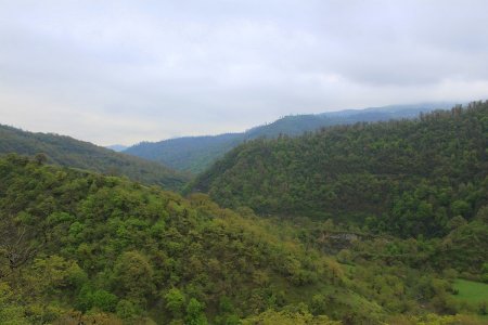 Talış bölgəsinin fitooykonimləri