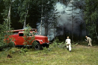 49 il öncəki meşə yanğınları – Kosıgin marşal Qreçkoya, Brejnev Andropova göstəriş verib ki...