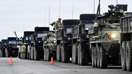 Ukrayna ərazisində NATO bazaları: bu, fantaziya deyil, zərurətdir