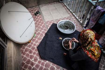 Anteni çadraya bükən məşədi, qəndi qüsllayan adamlar - İrandakı gülməli qadağalar